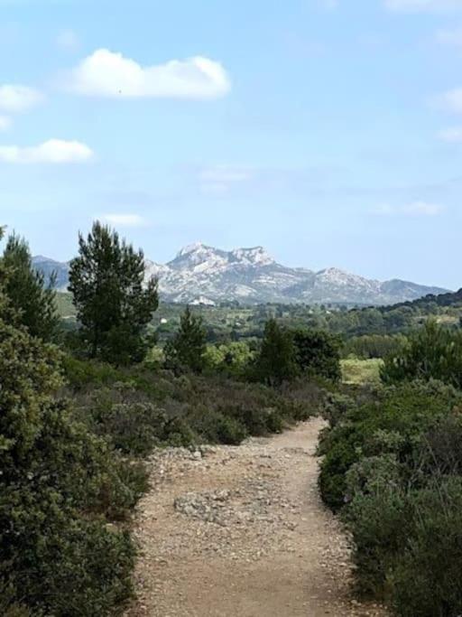 La Pitchoune : Gite Aux Pieds Des Alpilles มูริแยส ภายนอก รูปภาพ
